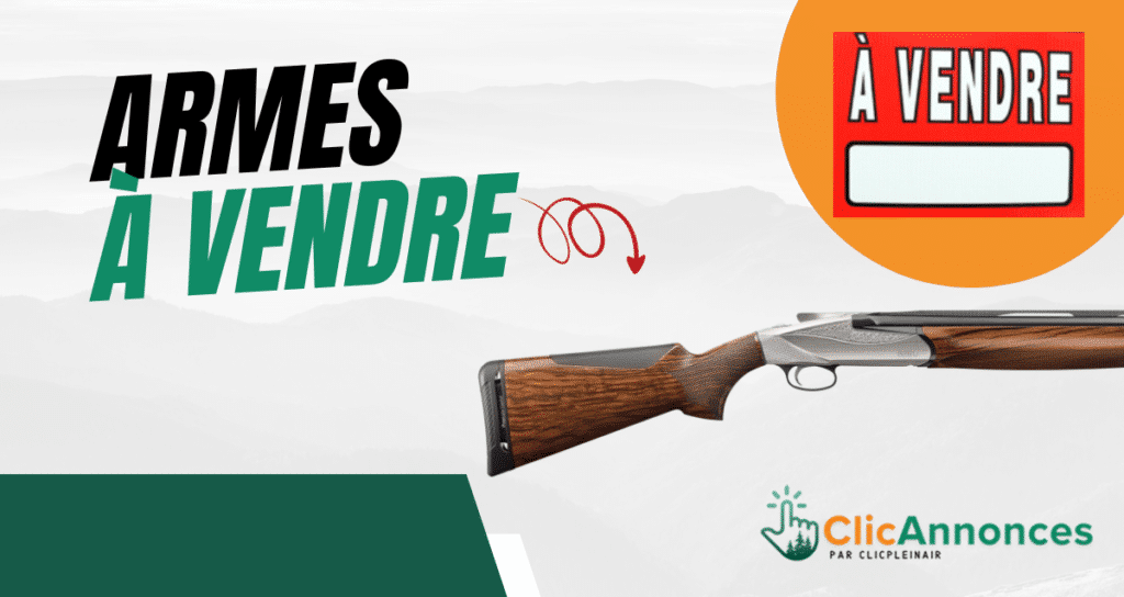 Carabine à vendre