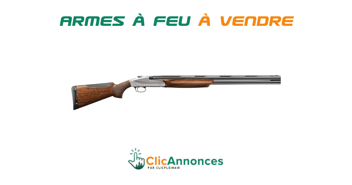Comment inspecter une arme à  feu usagée avant d'acheter