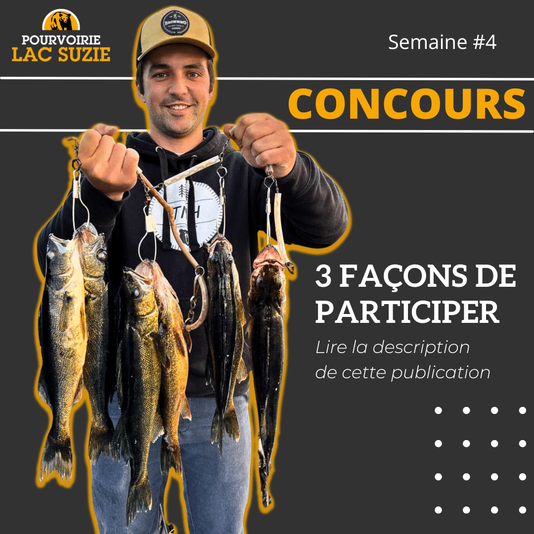 Concours Clicannonces - ClicAnnonces a été lancée officiellement le 5 février 2024. - $ à vendre sur le site d'annonces classées Clicannonces.ca