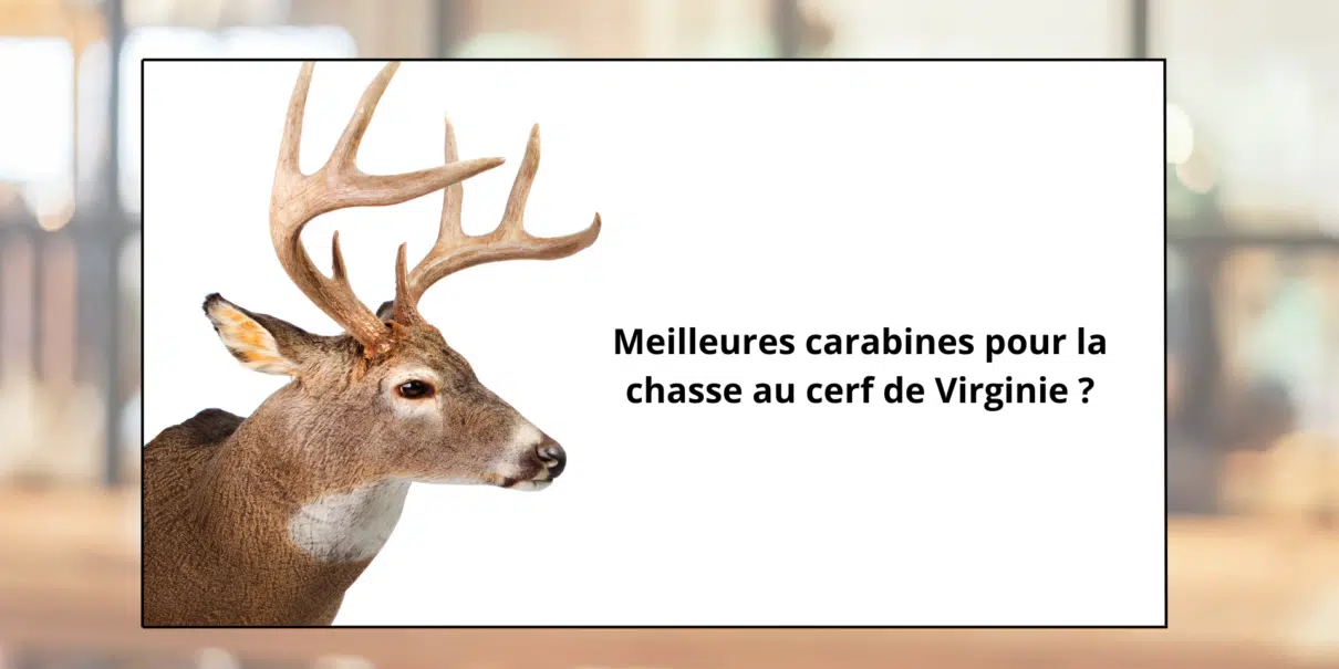 Meilleures carabines pour la chasse au cerf de Virginie