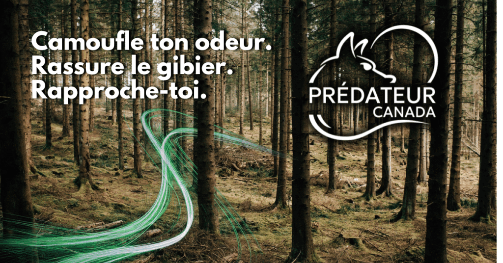 Logo de Prédateur Canada – Produits destructeurs d’odeurs à base de phéromones pour la chasse au Québec