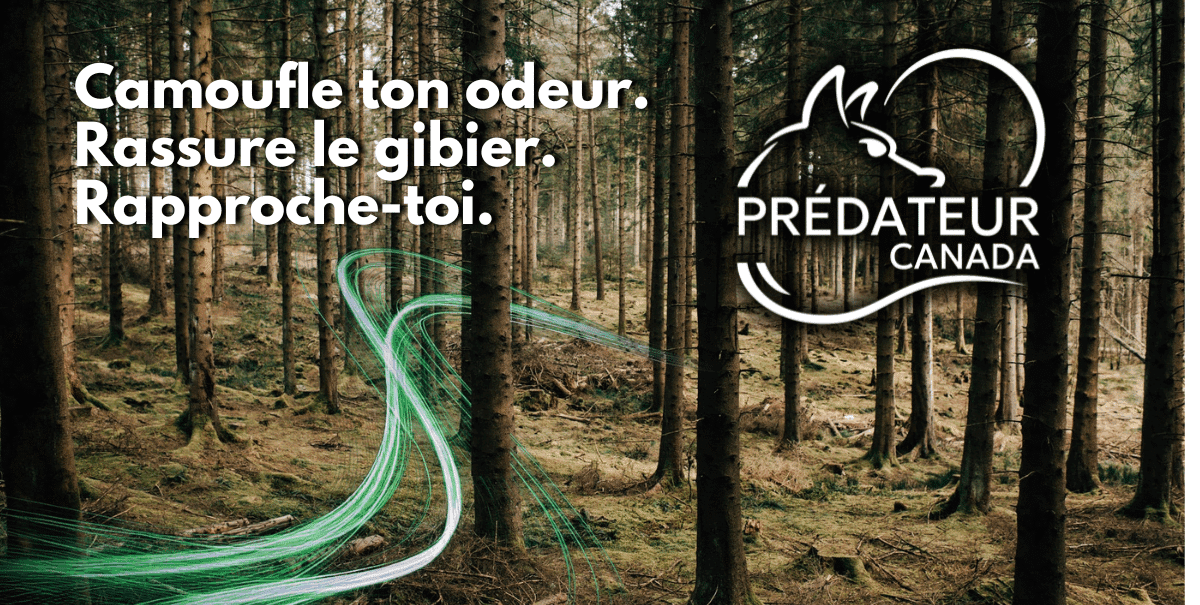 Logo de Prédateur Canada – Produits destructeurs d’odeurs à base de phéromones pour la chasse au Québec