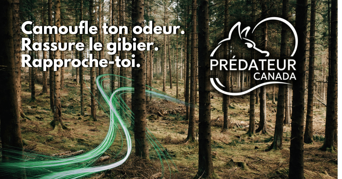 Logo de Prédateur Canada – Produits destructeurs d’odeurs à base de phéromones pour la chasse au Québec