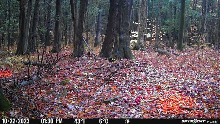 Chauffe eau 110 v instantanee sinstale sur leau froide . Ideal pour camping.