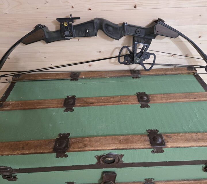 Arc a pouli comme neuf