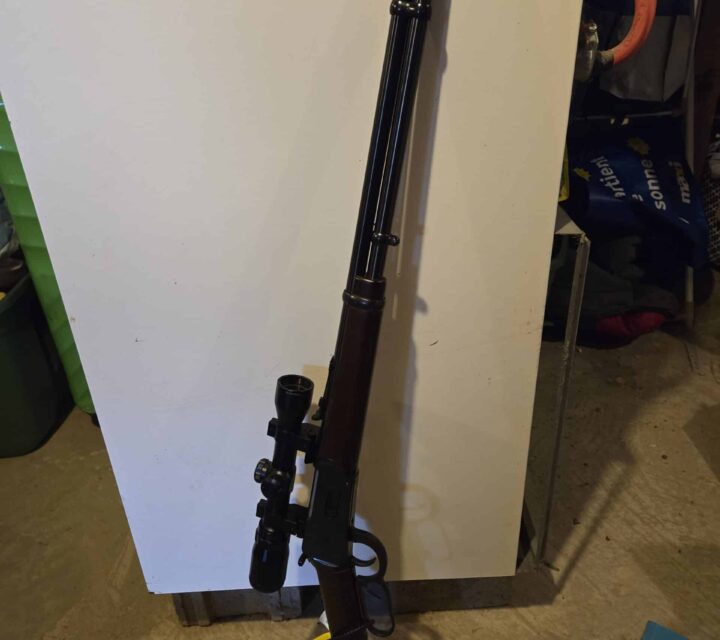 Peu avoir 4 boite de balle pour 100$