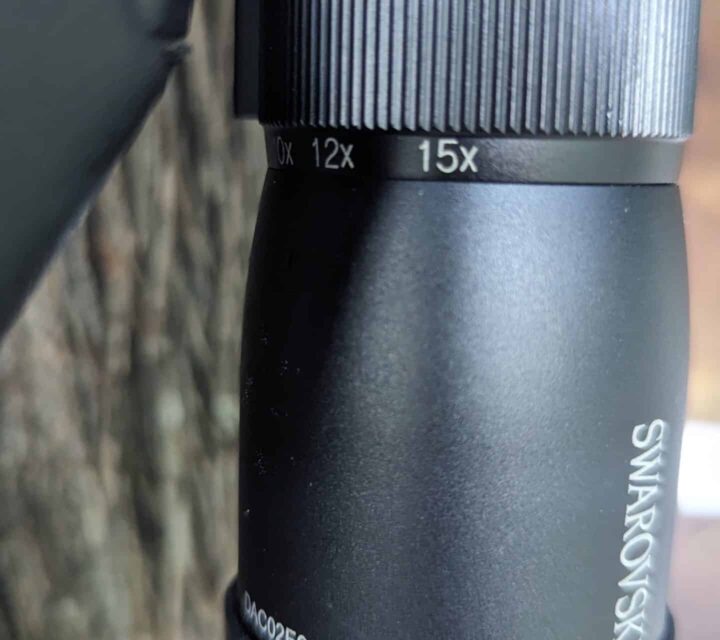 22 mag semi automatique Remington