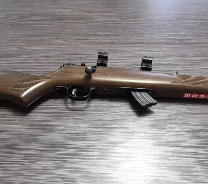 Chargeur de 10 balles