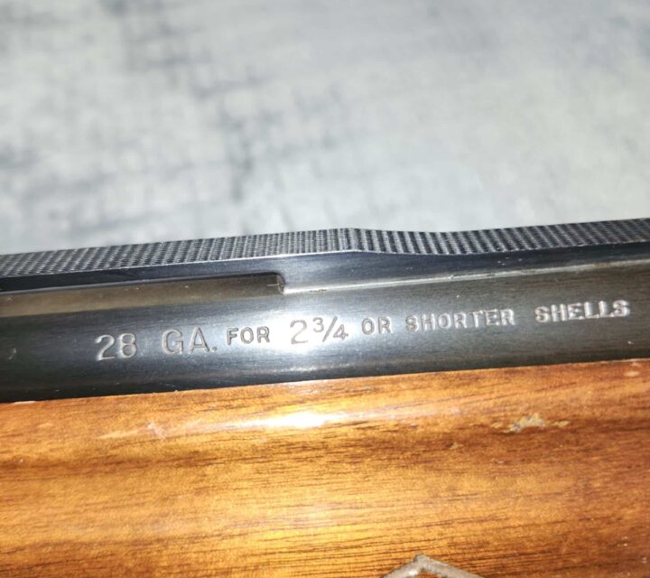 mecanisme à inertie par long recul du canon