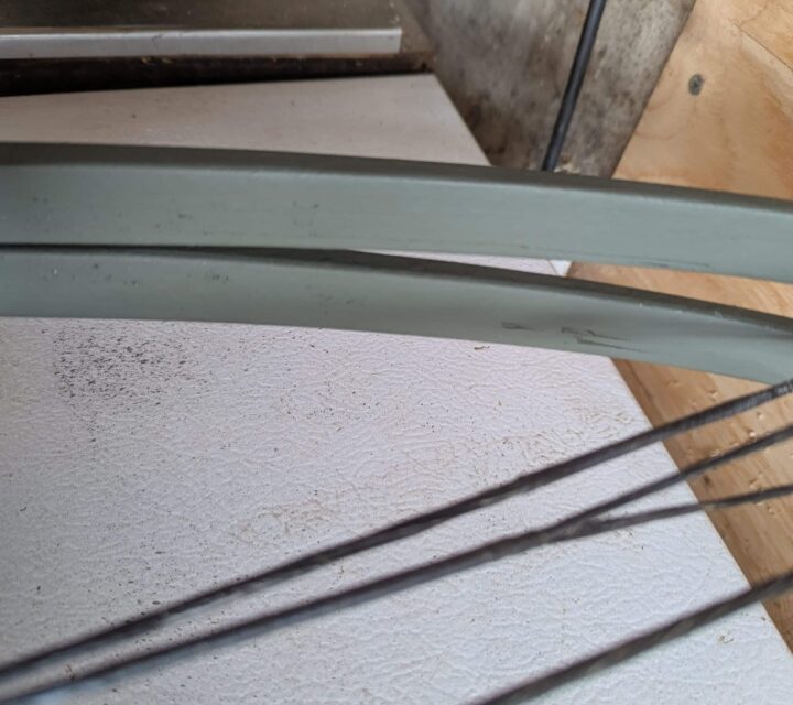 Quelques delaminations des branches mais du côté intérieur