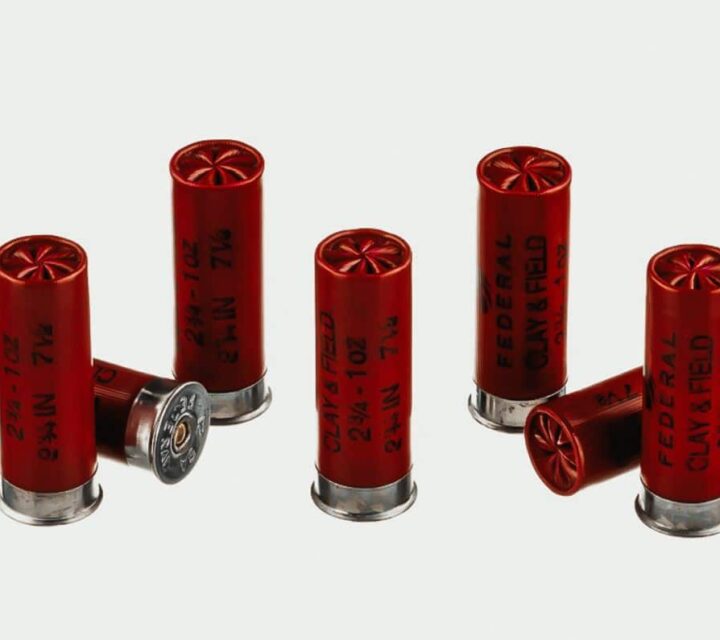 cartouche de calibre 12 2 3/4 pour la pratique 200$ pour 500 cartouche