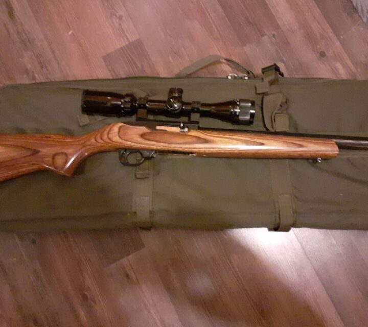 carabine ruger 10/22 cal.22LR avec crosse lamine et canon lourd il y a une grafigne sur la crosse