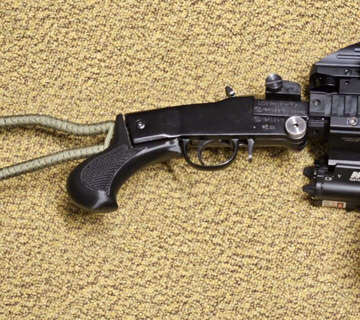 Little Badger en 22 mag avec viseur au laser et point rouge