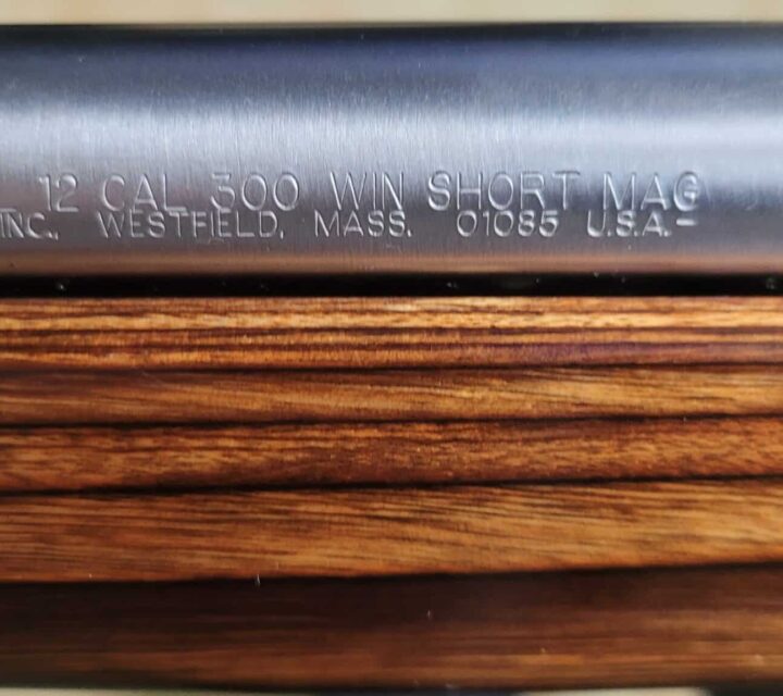 Savage Modèle 12 calibre 300 wsm