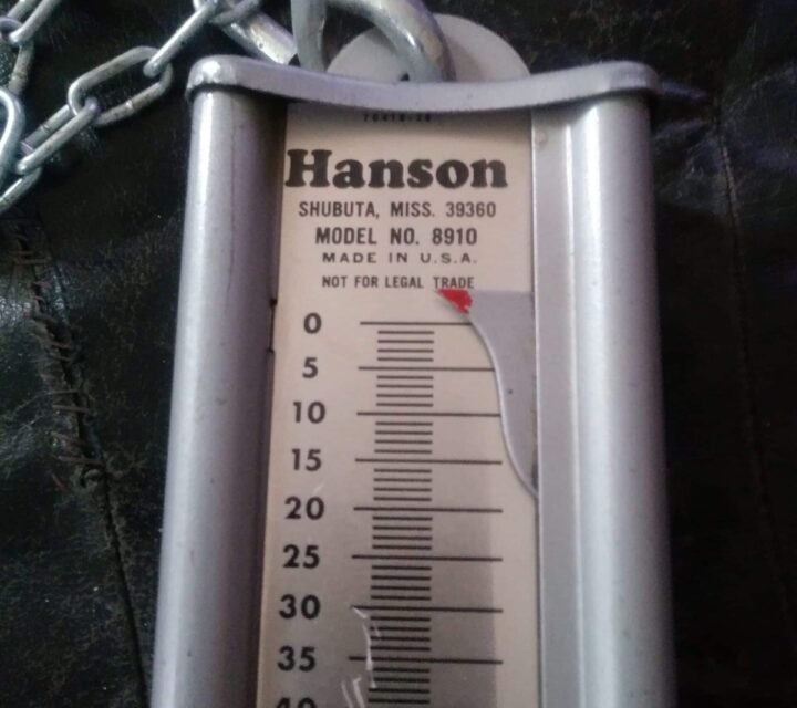 balance hanson pour vérifier pression arc capacité 100lbs valeur de 100$ pour 50