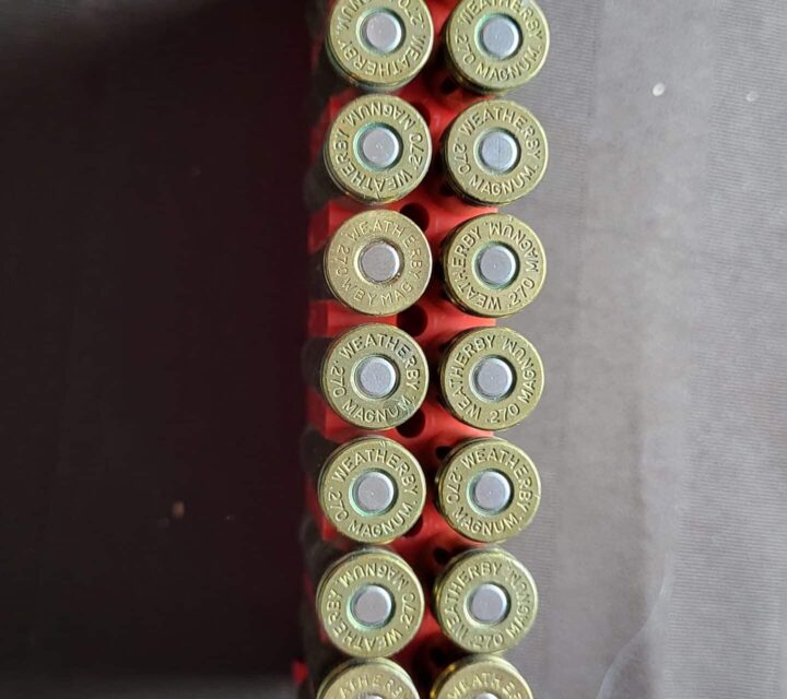 Muniton 270 weatherby mag