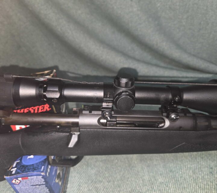 Très précise. .75 moa a 100 verges