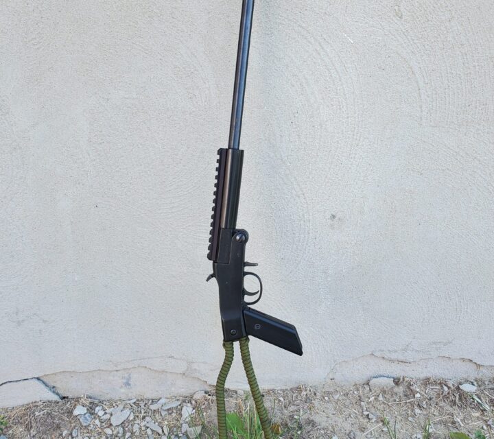 Chiappa Little Badger 22 lr