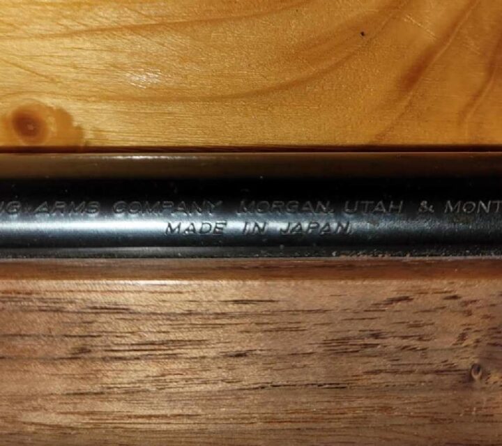 fusil calibre 410 magnum