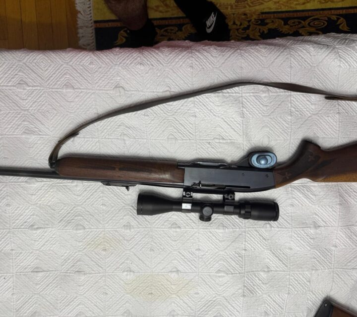 Remington model 742