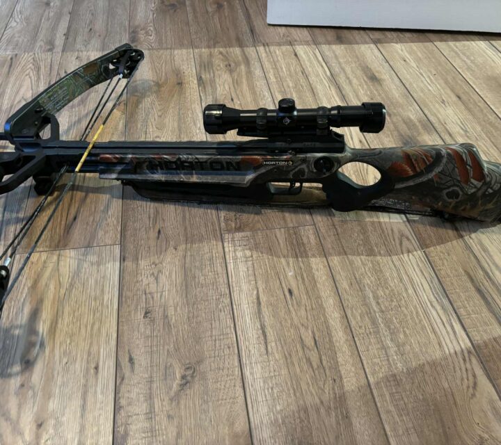 Lunette 4 x 32. 6 flèches au carbone.