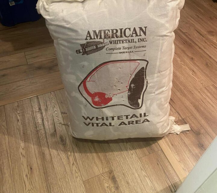 Cible de pratique pour arcs ou arbalètes.