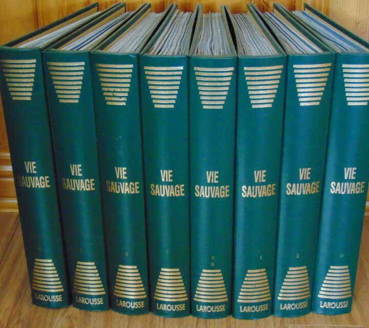 TRÈS BELLE IMAGES DE PLUSIEURS ANIMAUX