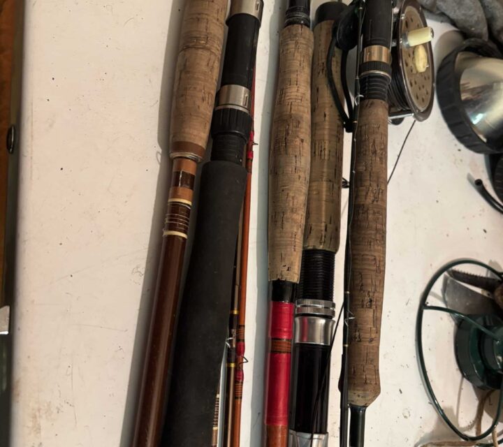 Bel assortiment de cannes et moulinets