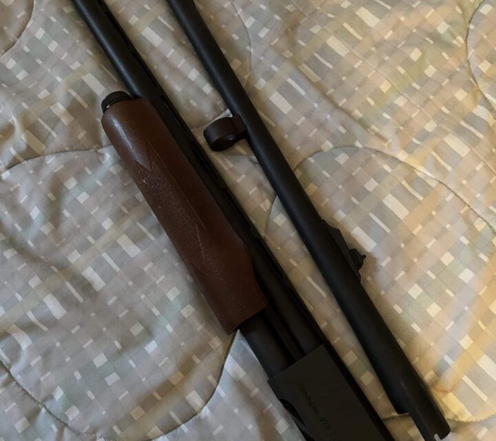 Remington pompe calibre 12 model 870 2 canons