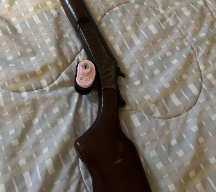 Fusil calibre 16 Harrington Richarson model 48 topper