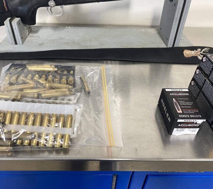 Remington sendero II