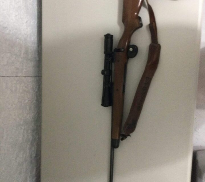 Carabine de chasse de marque Savage