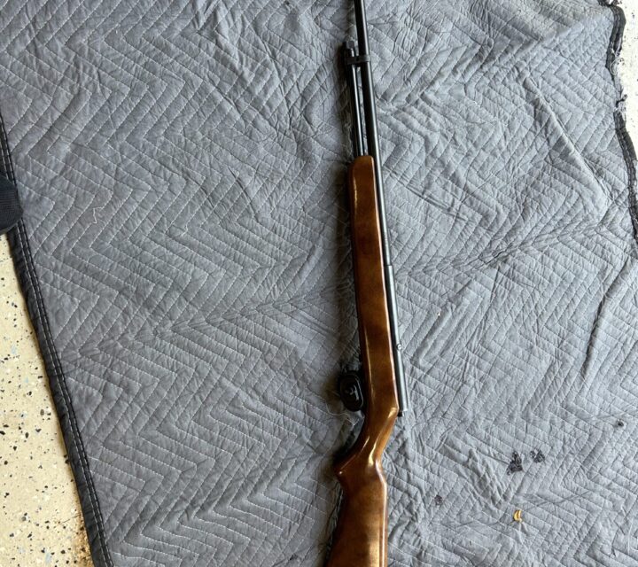 22 Higgins model 101.25 sears roebuck 2 1/2&3