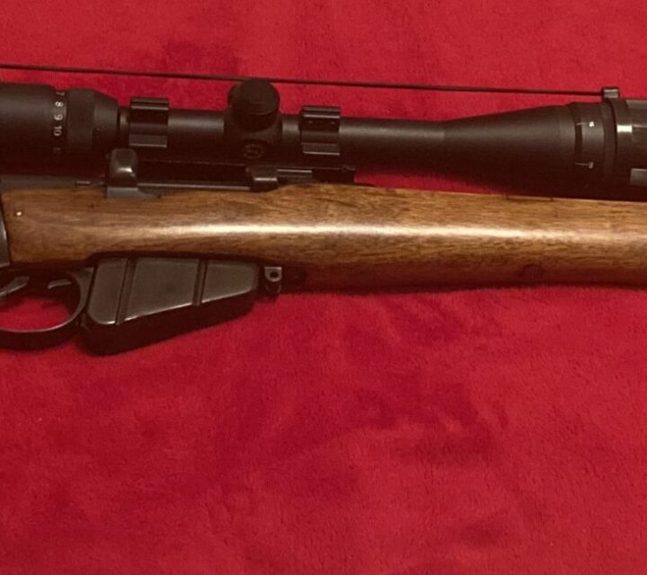 Très bonne carabine pour la chasse aux gros gibiers