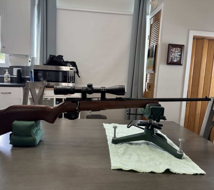 Carabine Savage modèle 93 à verrou en .22WMR