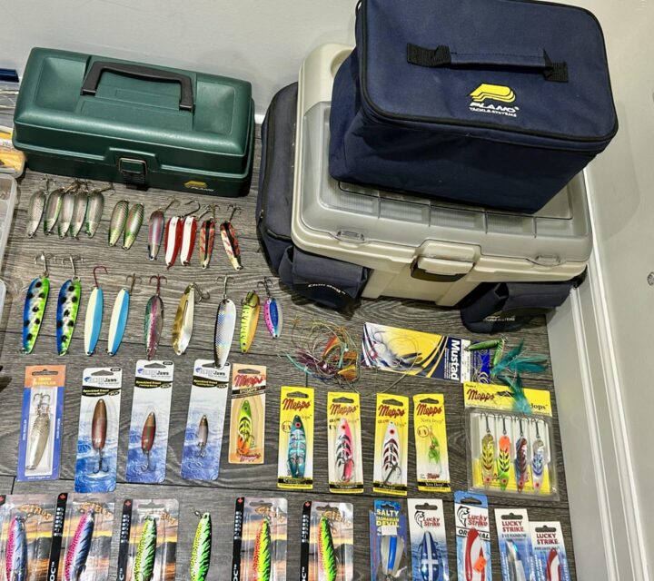 Nhésitez pas à me contacter pour plus de détails ou pour voir le lot.