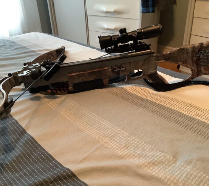 avec flèches de pratique et flèches de chasse. Cube de pratique.