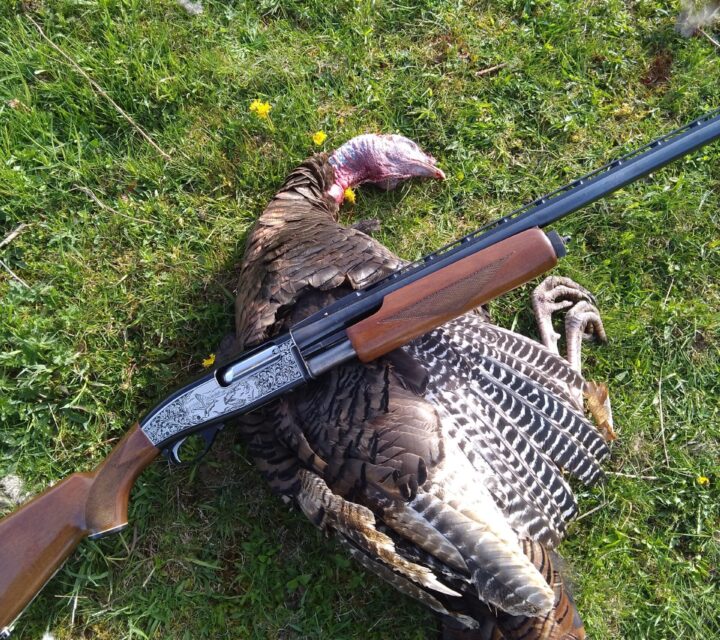 Fusil pompe 12 SKB 30 pouces rail full Choke modifié billes d'acier.PPA demande un propriétaire.tres propre.