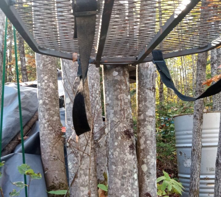 jsuis devenu un vieux chasseur