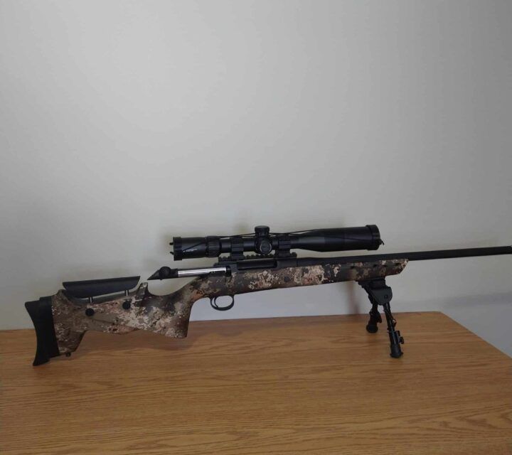 Sauer Pantera calibre 6