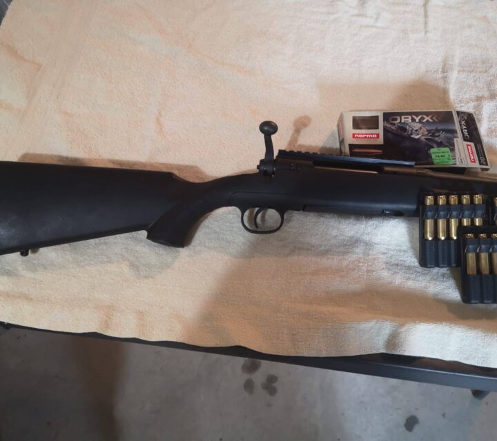 270 Win Savage axis ha tirer deux boites de balles tire super bien demande 350 ferme avec 16 cartouche norma