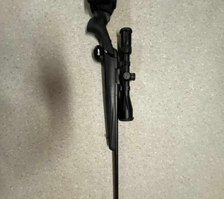 Browning 300wsm avec télescope vortex