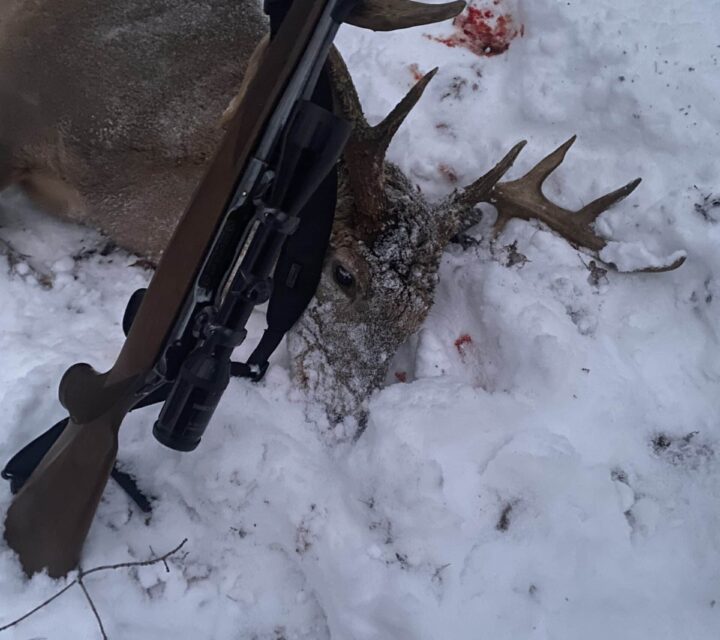 J'ai plusieurs armes à feu toutes enregistrées a vendre