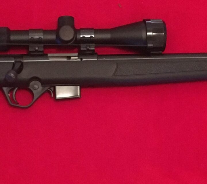 Excellente arme pour le tir