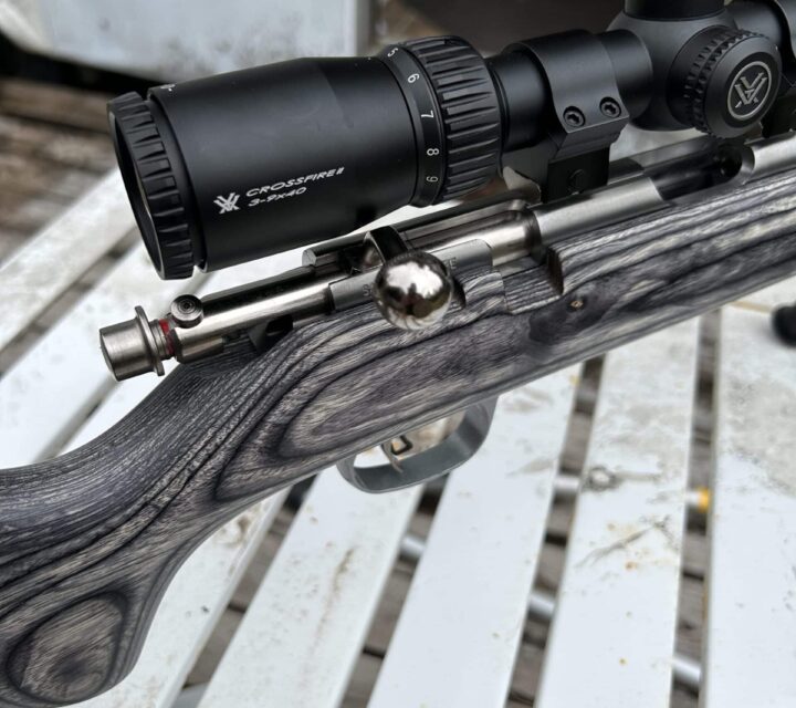 Le bipied caldwell pourrait venir avec