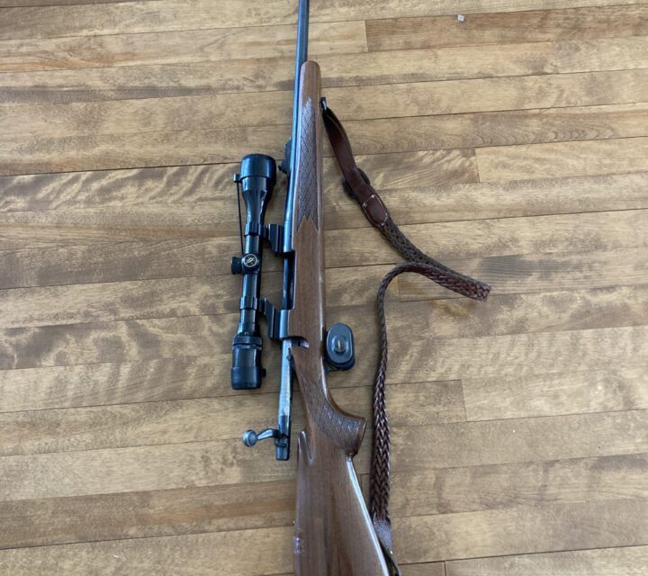 Carabine Remington 270 modèle 700 incluant étuis de transport Ecotone