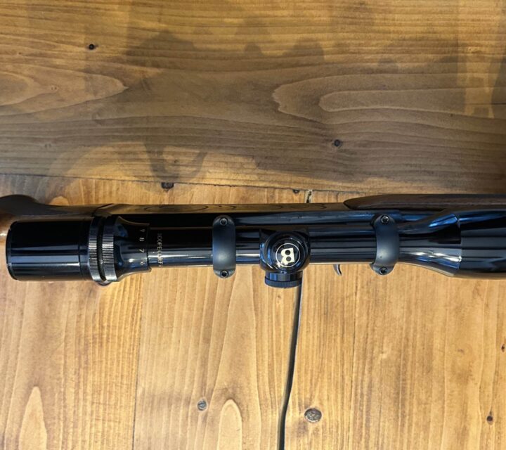 Browning 300 magnum semi-automatic avec telescopes Bushnell 3x9x40