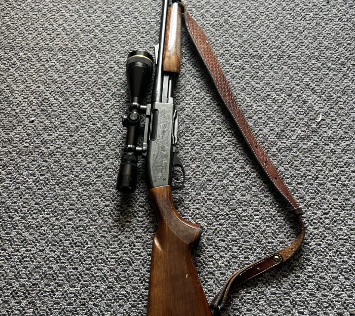 Carabine Remington 270 avec 2 magasins