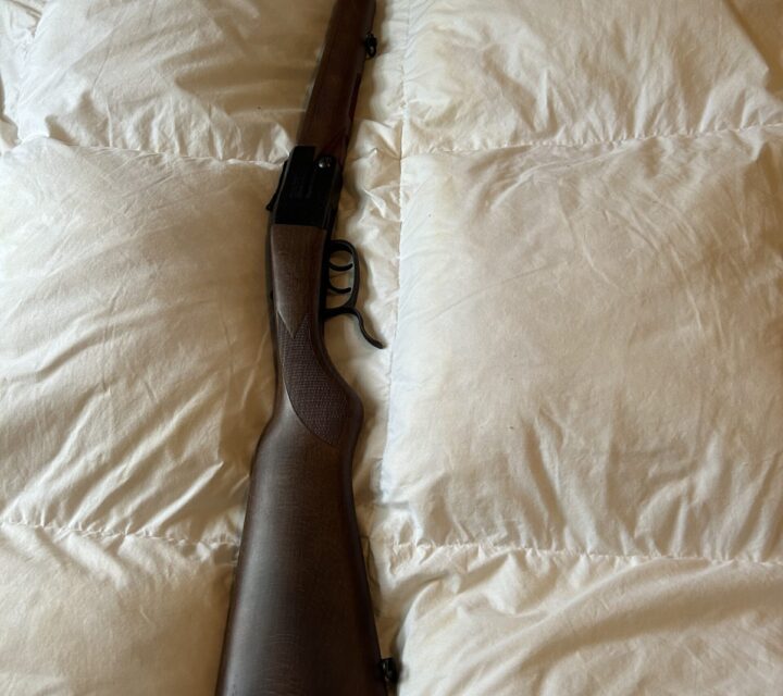 Chiappa double badger 410/.22 deux gâchettes impeccable il est neuf avec manuel