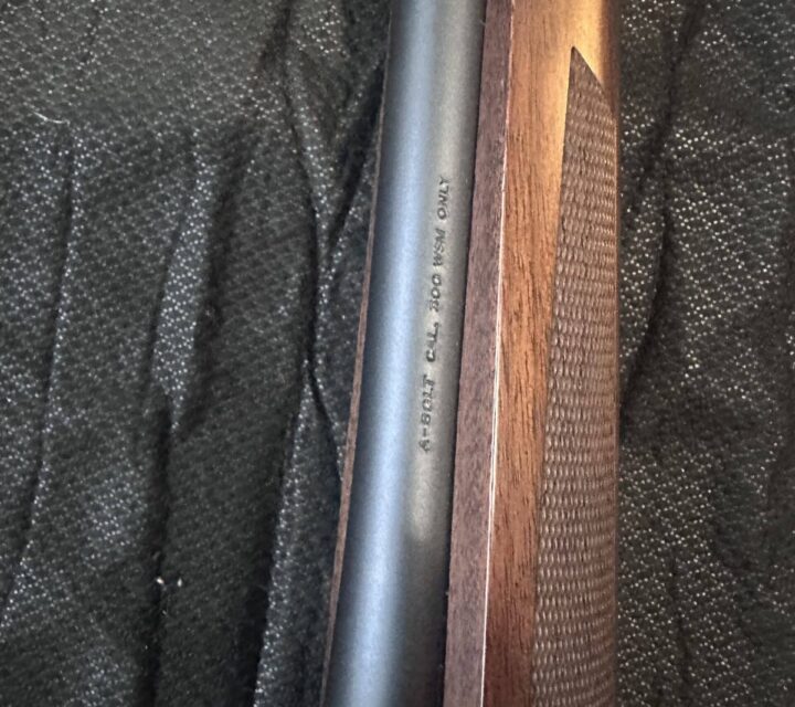 1 an 1/2 depuis que je lai acheter neuf.